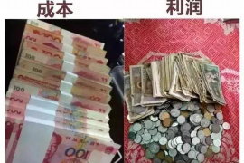 青白江企业清欠服务